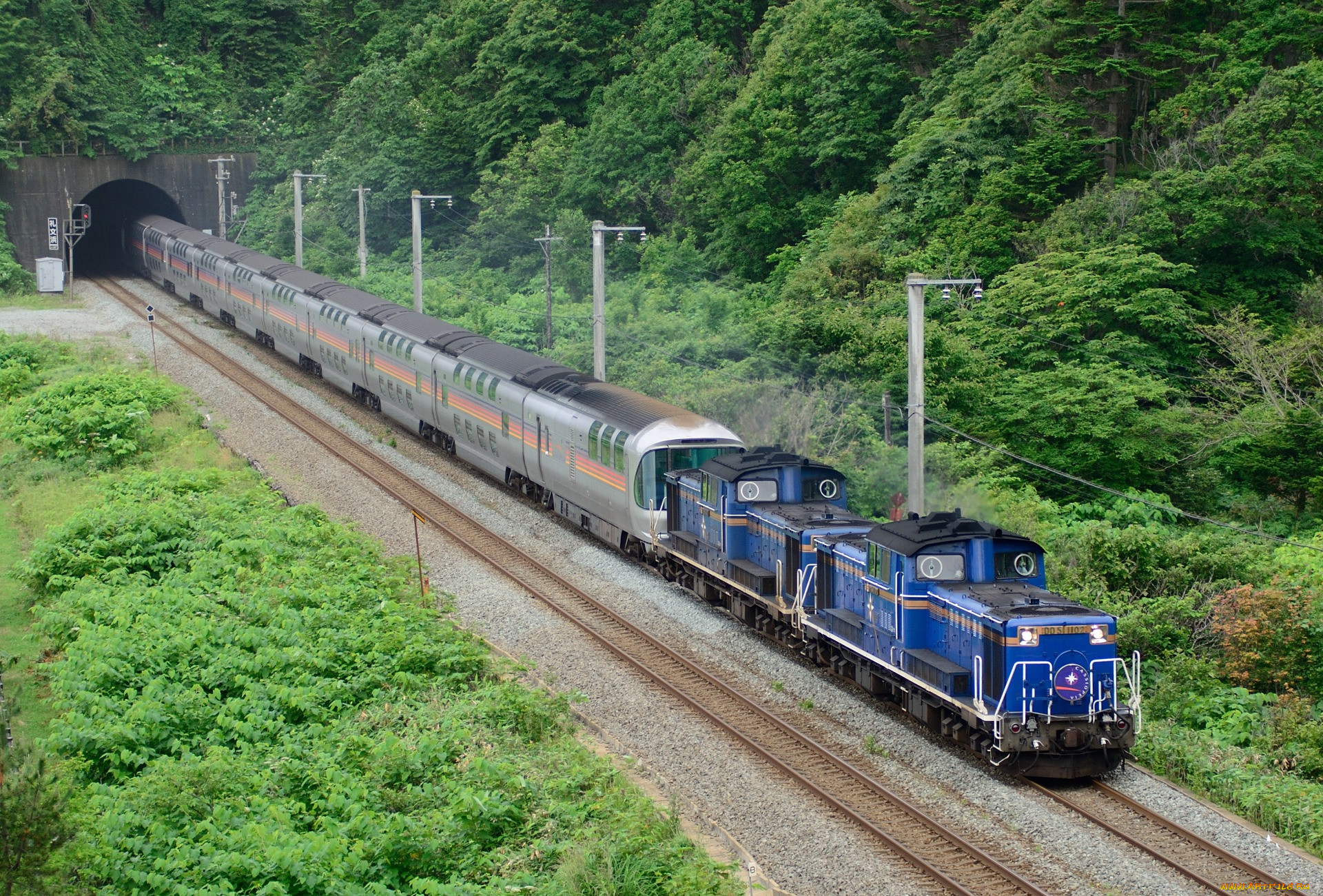 Many trains. Поезд. Скоростной грузовой поезд. Белиз железная дорога. Шри Ланка поезд.